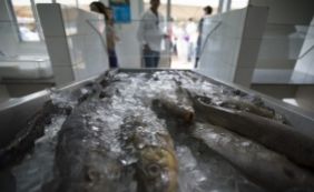 Intoxicação após ingestão de peixe é causa de doença misteriosa, indica estudo