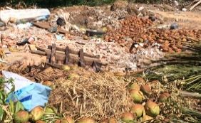 Moradores denunciam lixo acumulado em Abrantes: '21 anos convivendo com isso'