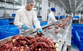 'Carne Fraca': JBS diz que repudia prática de adulteração de produtos
