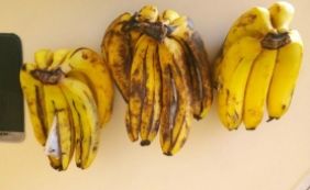 Cachos de bananas com maconha são apreendidos; droga seria entregue a detento