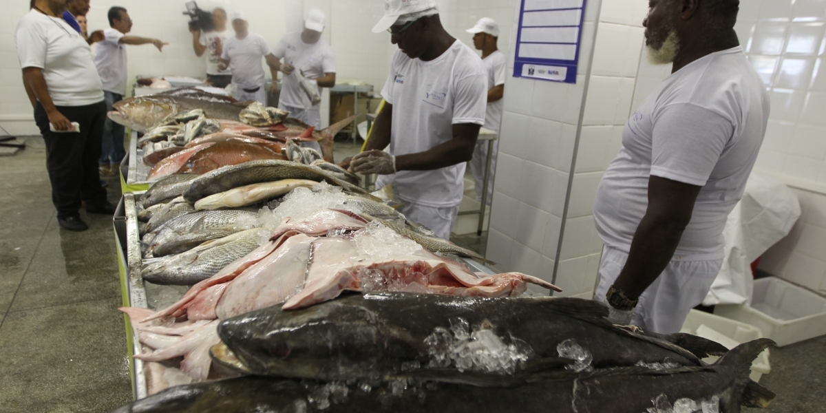 Terminal pesqueiro oferece descontos de até 38% em frutos do mar