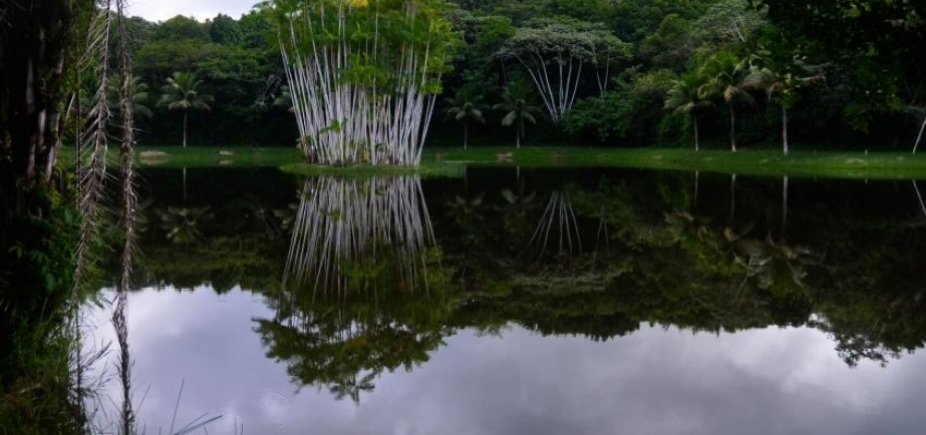 Municipalização da água em Mata de São João é \'caminho incorreto\', avalia sindicalista