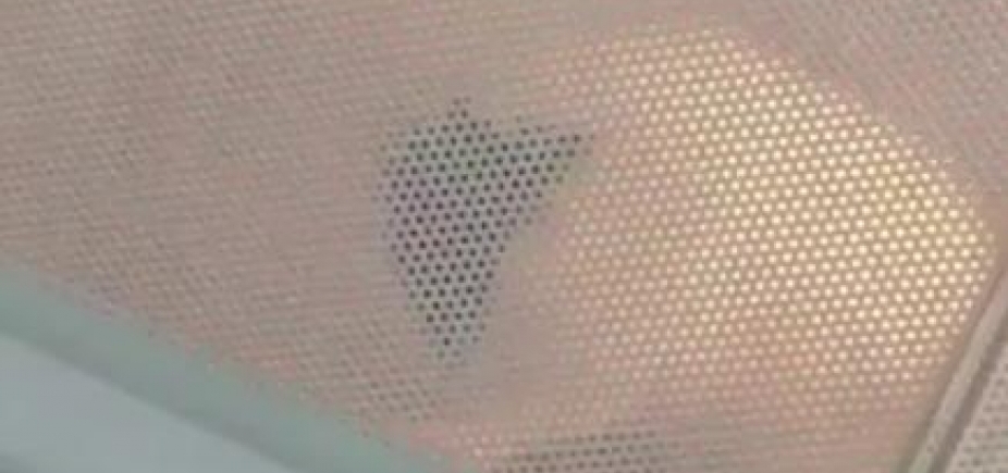 Garota de 16 anos filma porquinho da índia em microondas ligado e mãe justifica: \'Ato impensado\'