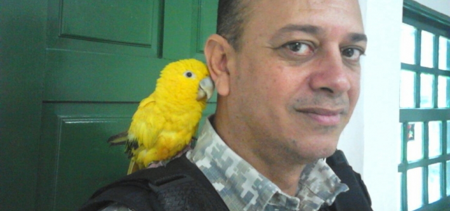 Ave rara avaliada em R$ 20 mil no mercado clandestino é resgatada pela Guarda Municipal