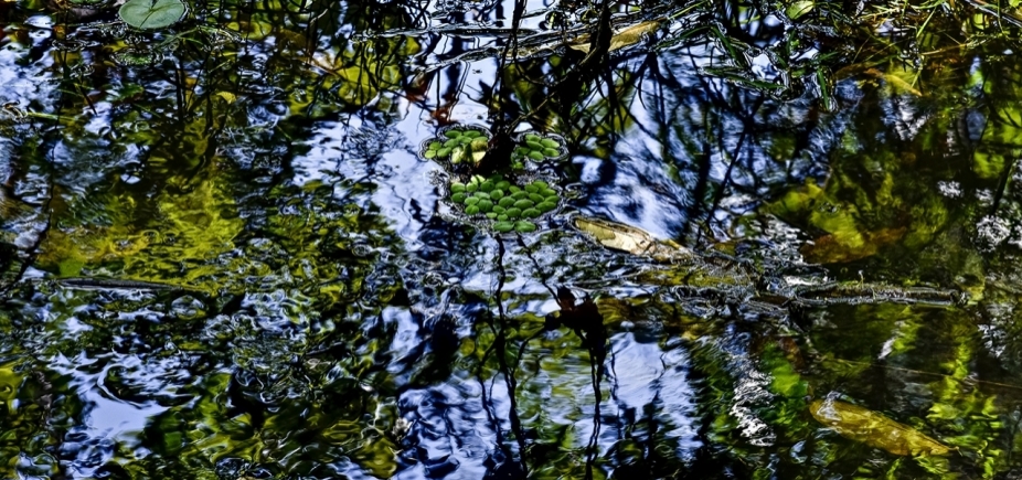 A mostra \'Caminho que Anda\' reúne imagens de rios sob o olhar do fotógrafo Carlos Barral
