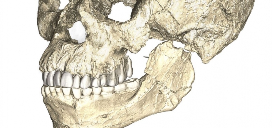 Fósseis mais antigos do Homo sapiens são identificados em Marrocos