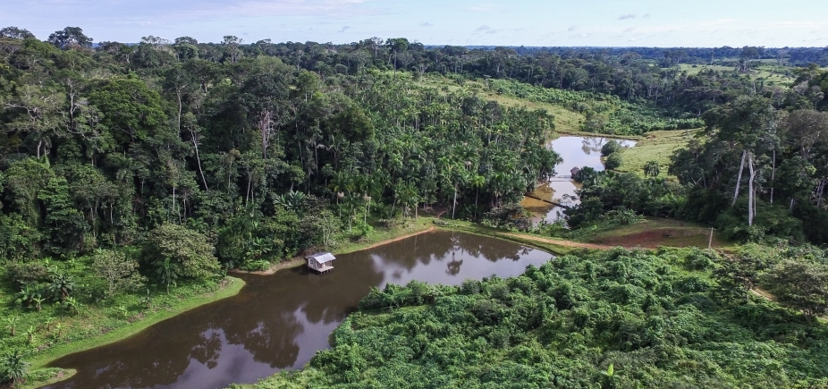 Temer veta proposta que diminuía área preservada na Amazônia