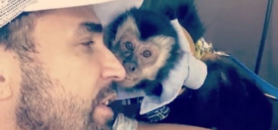 'Seu Twelves é mais importante', reclama mãe de Latino sobre macaco de estimação