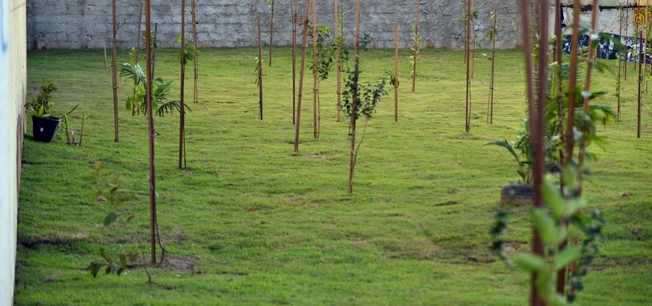 Sedur inaugura primeiro pomar urbano no Stiep