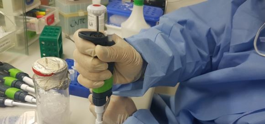 Substância capaz de impedir reprodução do Zika vírus deve levar 10 anos para ser produzida em larga escala