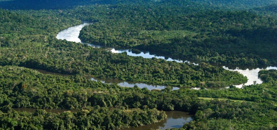 Juiz suspende decreto que extingue Reserva Nacional na Amazônia