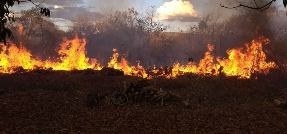 Incêndio atinge vegetação em Barreiras