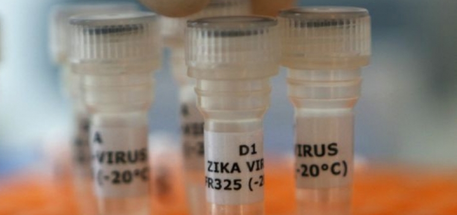 Ainda em fase de estudos, vacina contra zika vírus pode prevenir transmissão na gravidez