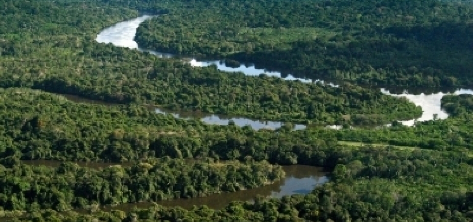 Governo vai revogar decreto que extinguia Reserva Nacional na Amazônia