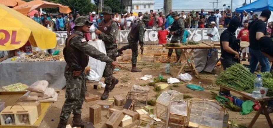Operação da Polícia Militar prende 10 homens por comércio ilegal de aves