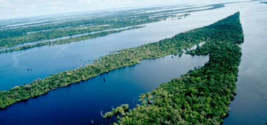 Avião do Greenpeace cai no Amazonas e deixa um morto e quatro feridos