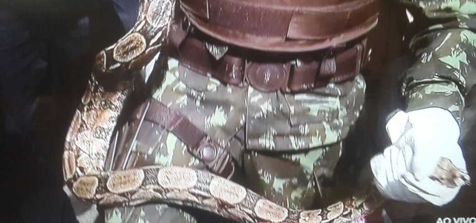 Susto! Motorista de Salvador encontra cobra em motor de carro