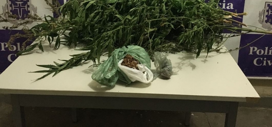 Suspeito de tráfico de drogas é preso vendendo trouxas de maconha em Juazeiro