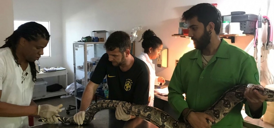 Jiboia de dois metros é resgatada em máquina de lavar de apartamento 