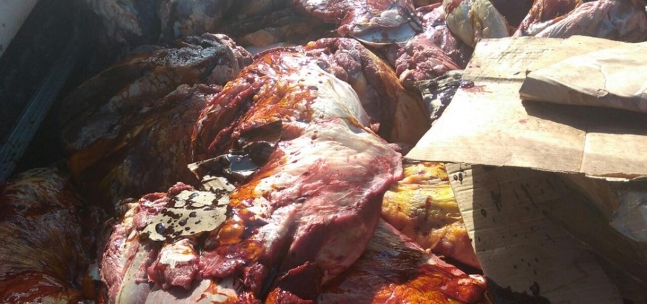 Mais de uma tonelada de carnes adulteradas é apreendida no Recôncavo 