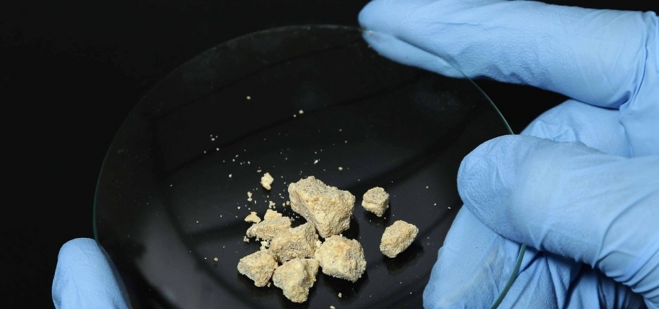 Em fase de testes, vacina contra a cocaína é produzida por pesquisadores da UFMG 