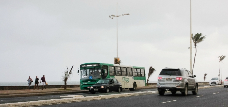 Litorânea, Salvador sofre para ʹvingarʹ coqueiros; secretaria culpa salinidade