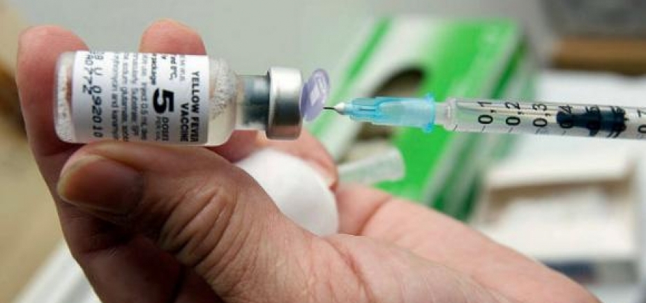 Febre amarela: após morte de 12 macacos, vacinação é reforçada em Salvador