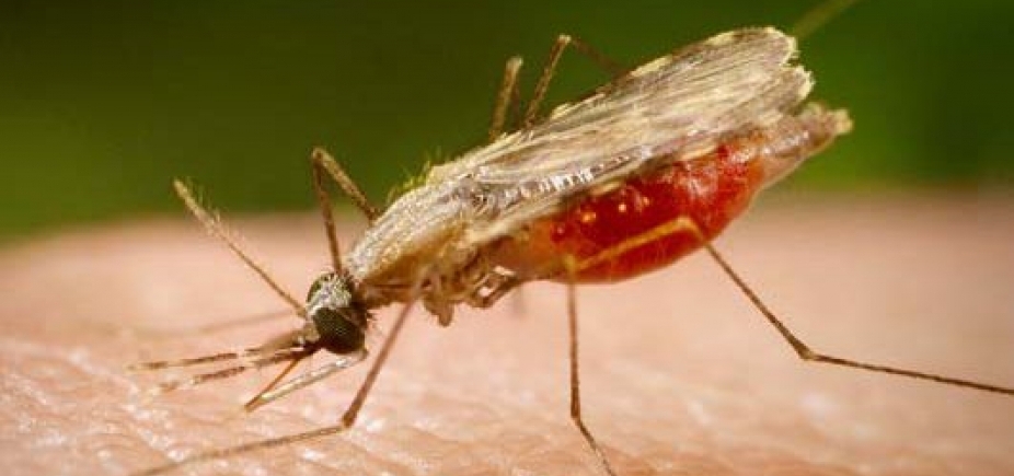 Cidade baiana tem surto de malária com uma morte e sete casos confirmados