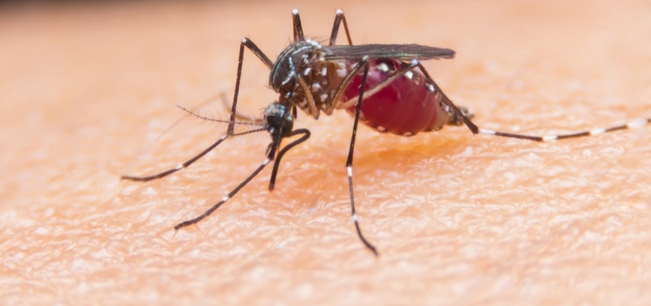 Sesab confirma segunda morte por malária na Bahia