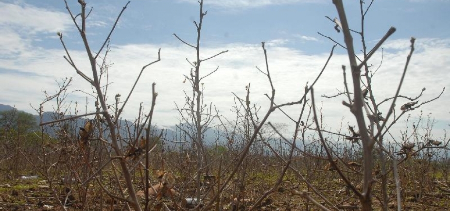 Brasil teve pior seca da história entre 2012 e 2017, diz Inmet