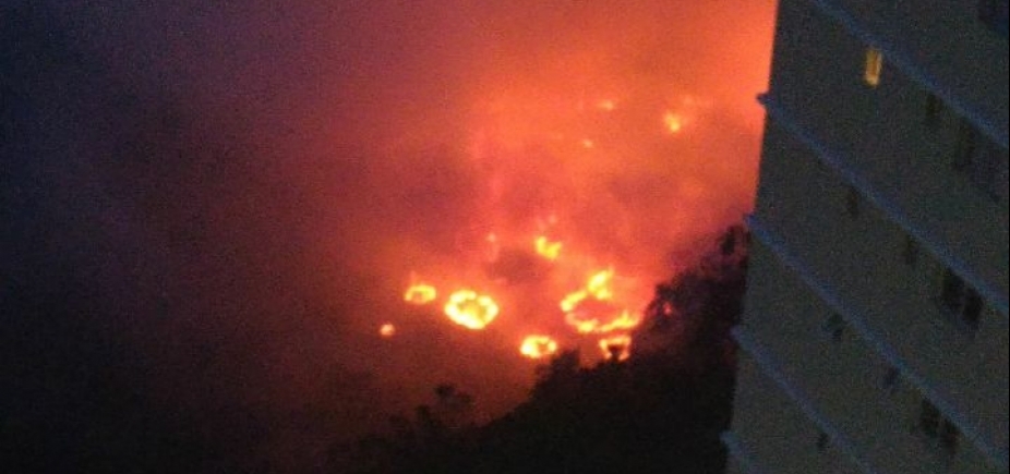 Incêndio atinge vegetação no Greenville; veja vídeo