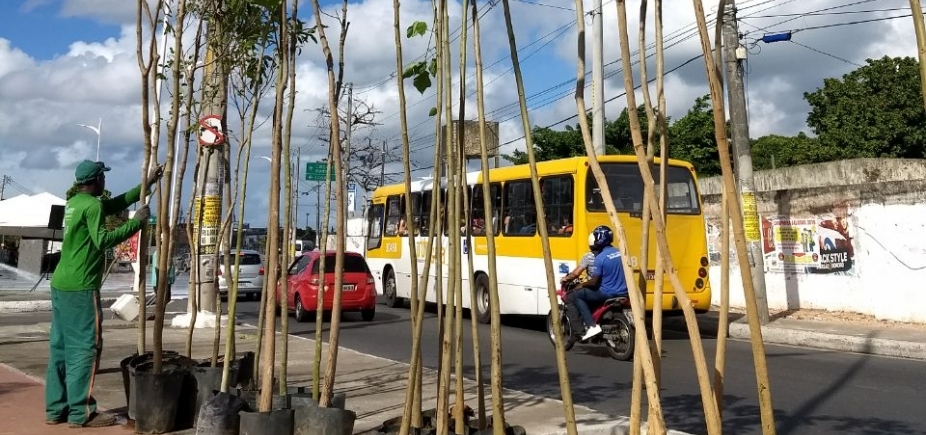 Avenida Suburbana receberá plantio de 1,4 mil mudas de árvores 