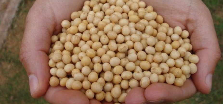 Oeste da BA bate recorde de produção de soja, diz associação