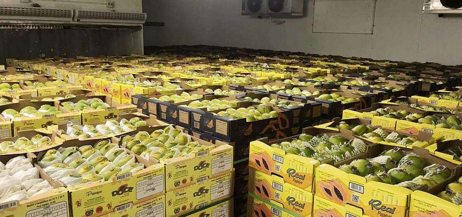 Exportadores de frutas do Vale do São Francisco têm prejuízo de R$ 570 mi