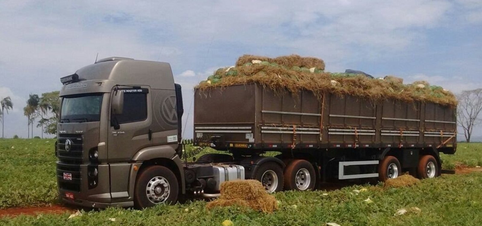 Agricultores da BA têm perda de até 50% de safra com greve