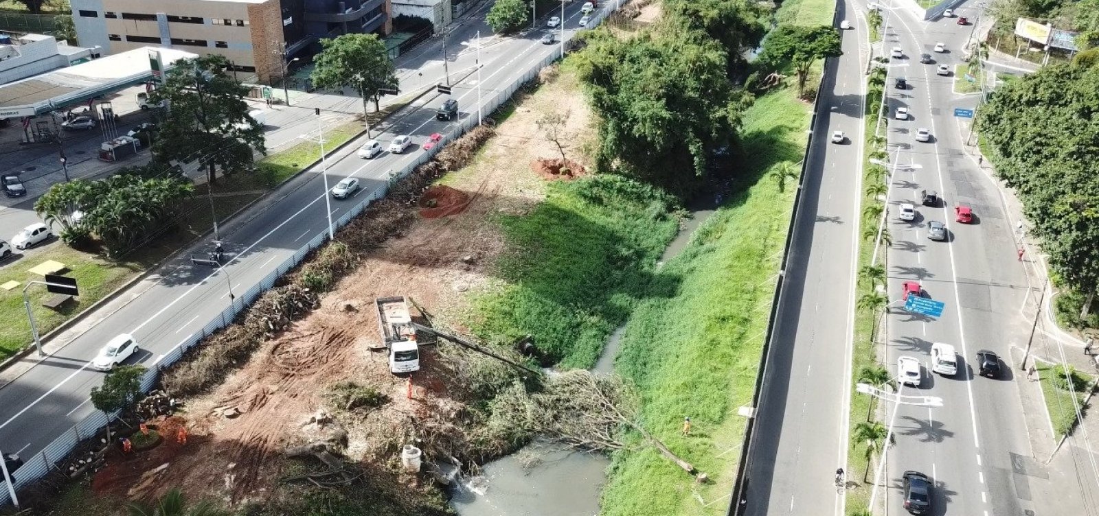 Metrópole acompanha obras e retirada de árvores para implantação do BRT; vídeo