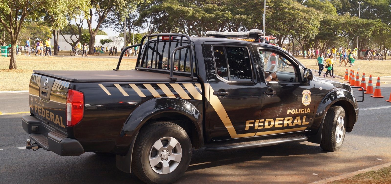 Ibama e Polícia Federal deflagram operação contra tráfico de animais na Bahia