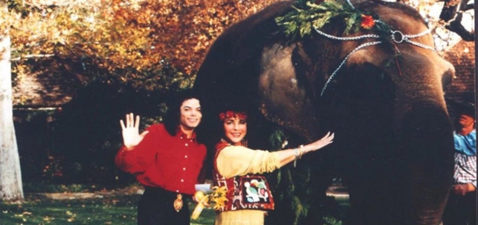 Elefante que pertenceu a Michael Jackson foge de cela em zoológico
