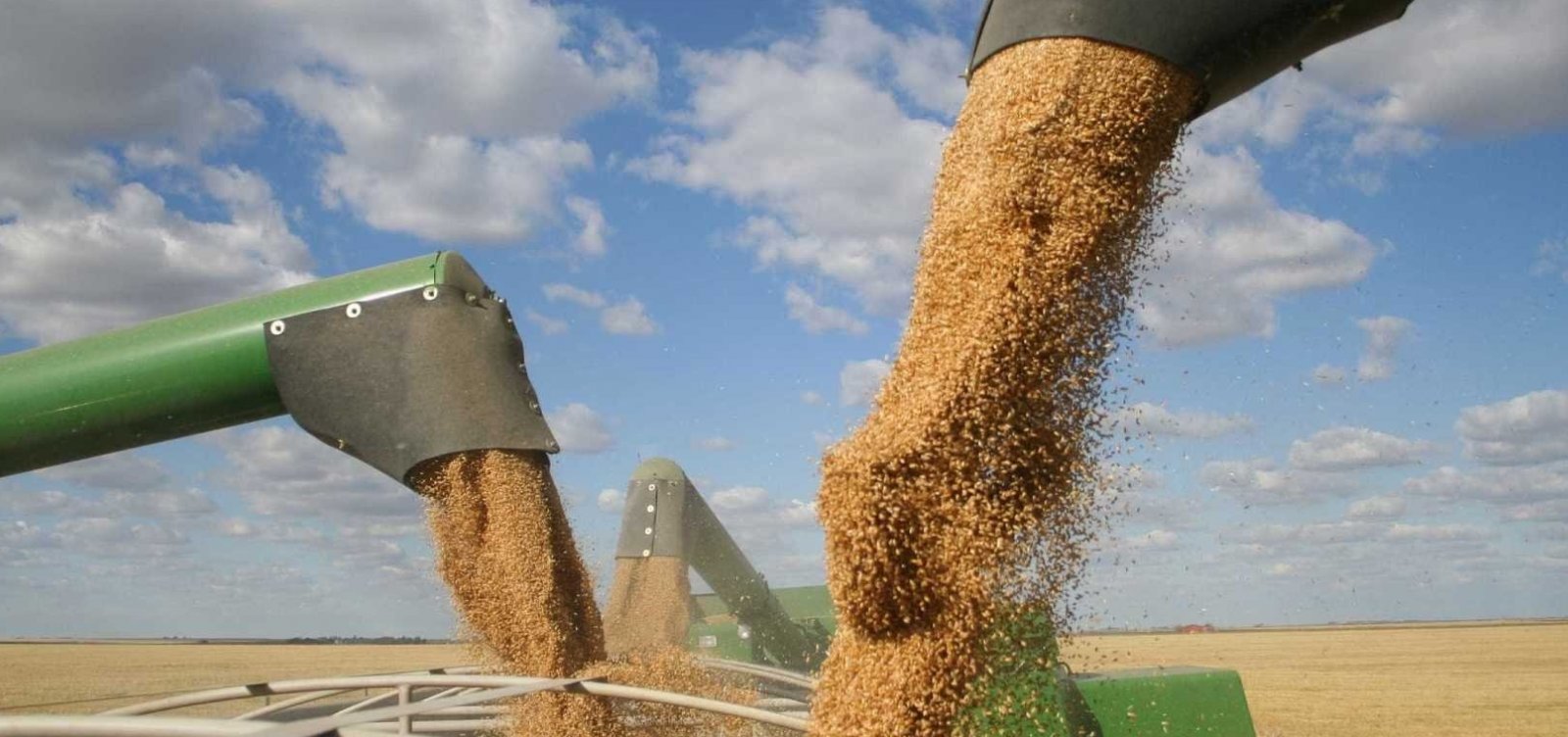 IBGE estima queda de 5,3% na safra de grãos de 2018