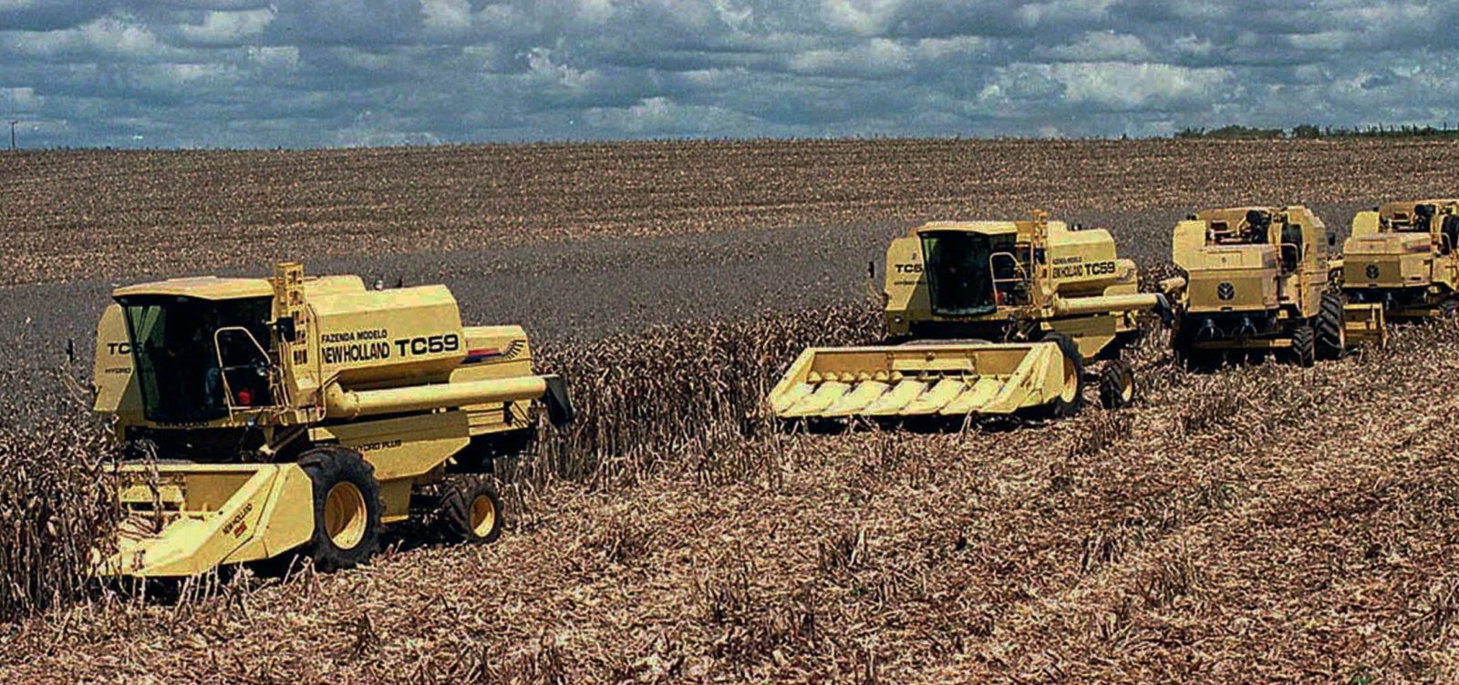 Aumento do frete eleva custo com trigo e pode impactar preço da farinha