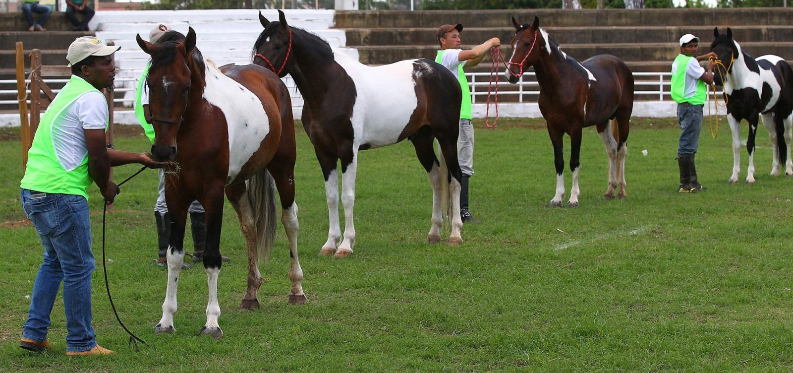 Exporural 2018 expõe 1,5 mil animais no Parque de Exposições
