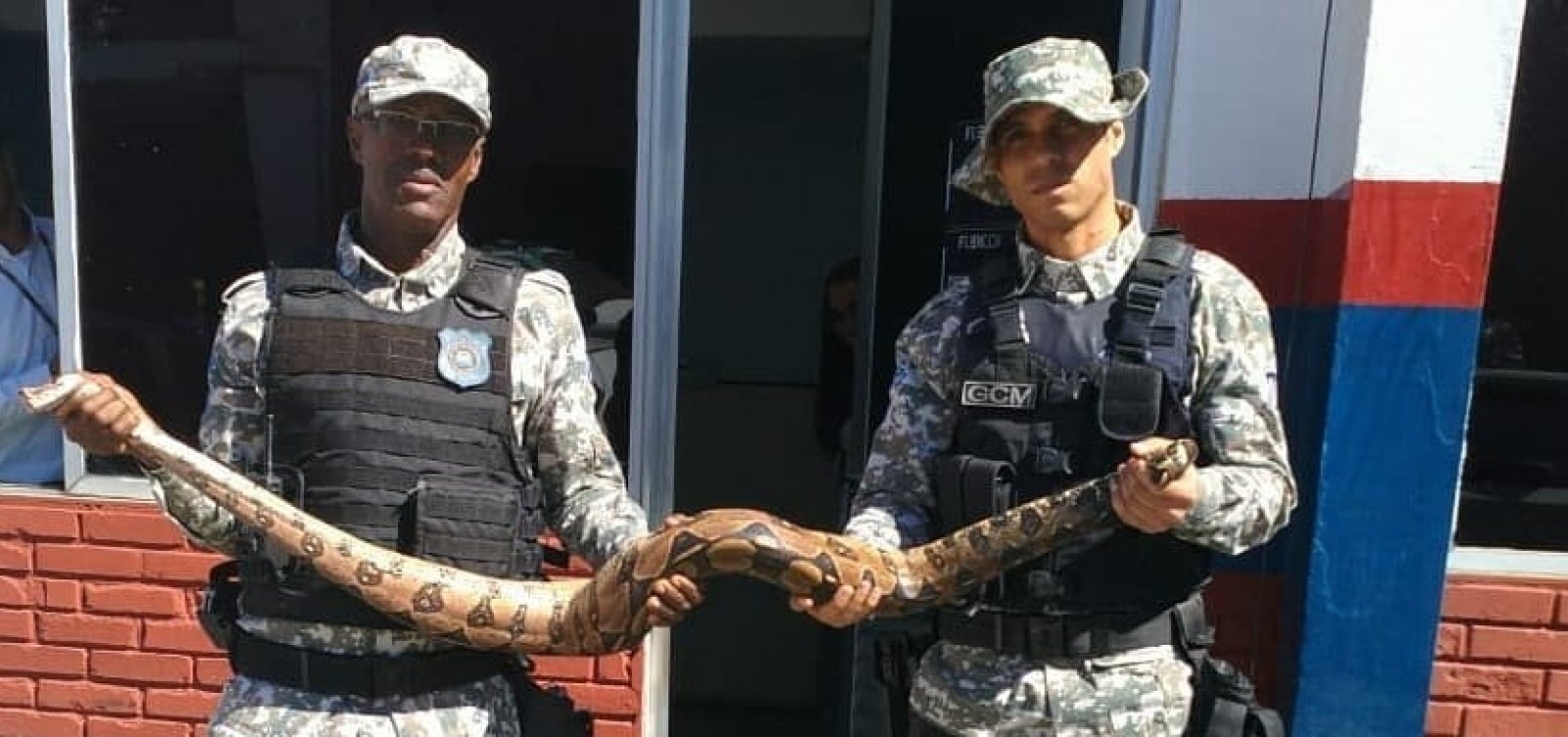 Salvador tem quase 700 animais silvestres resgatados em 2018