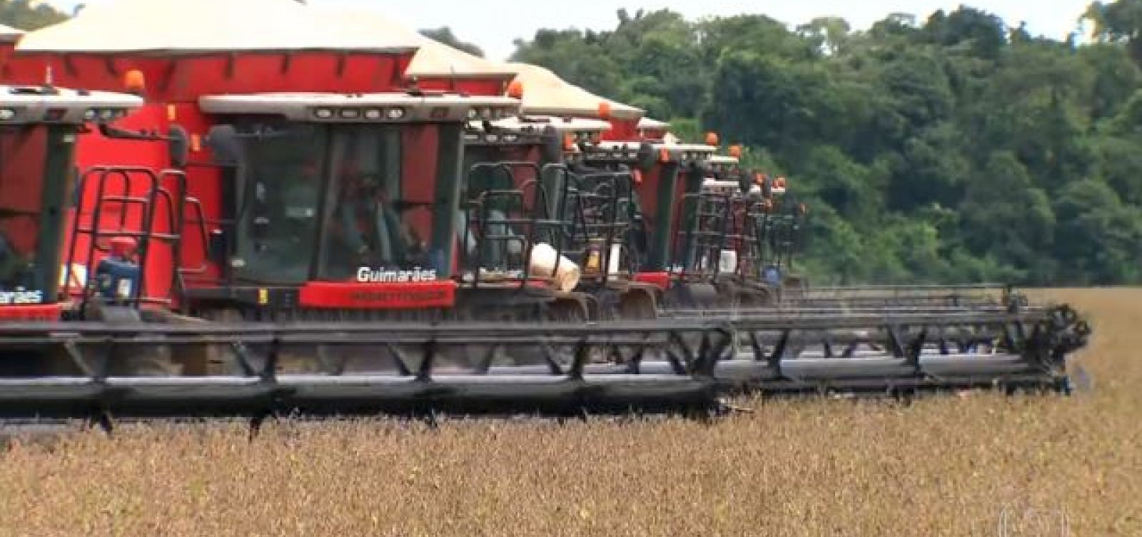 Justiça ameaça tirar do mercado principal herbicida usado nas lavouras de soja