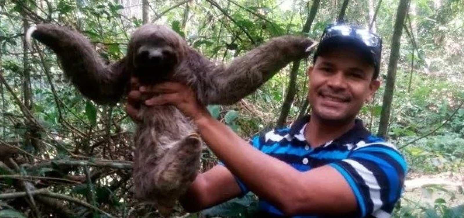 Preguiça encontrada por morador no sul da Bahia é solta no Parque Nacional do Descobrimento