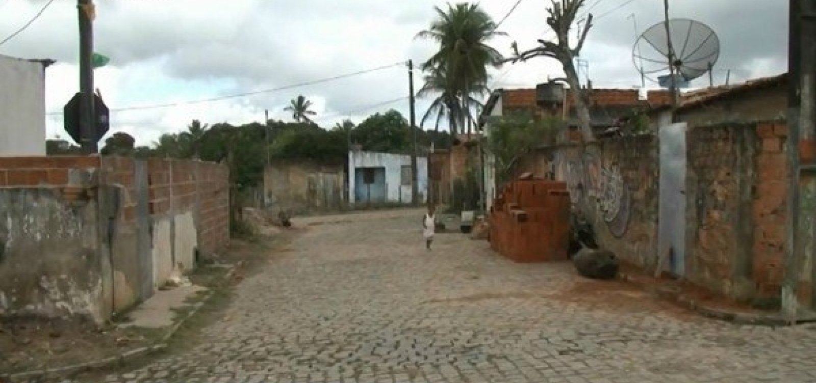 Mais de 20 pessoas apresentam caso de chikungunya no interior da Bahia