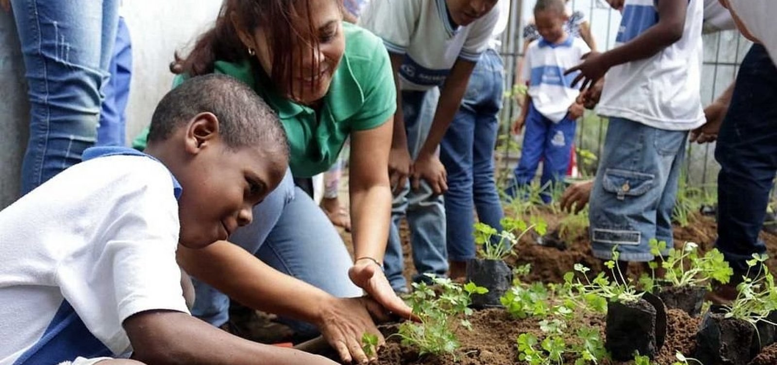 Escola Municipal de Salvador ganha horta que será cultivada por alunos