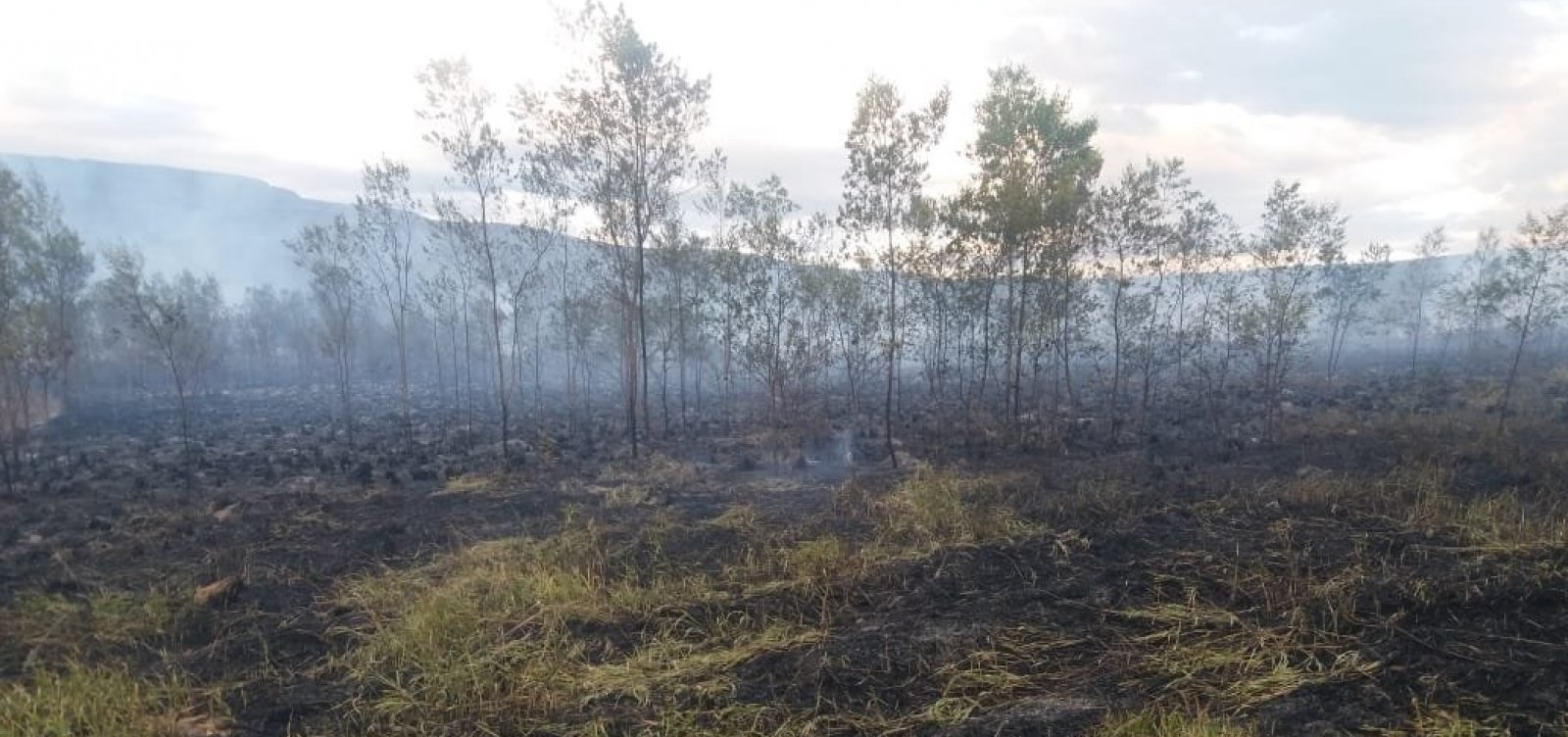 Bombeiros e brigadistas combatem fogo na Serra do Tromba