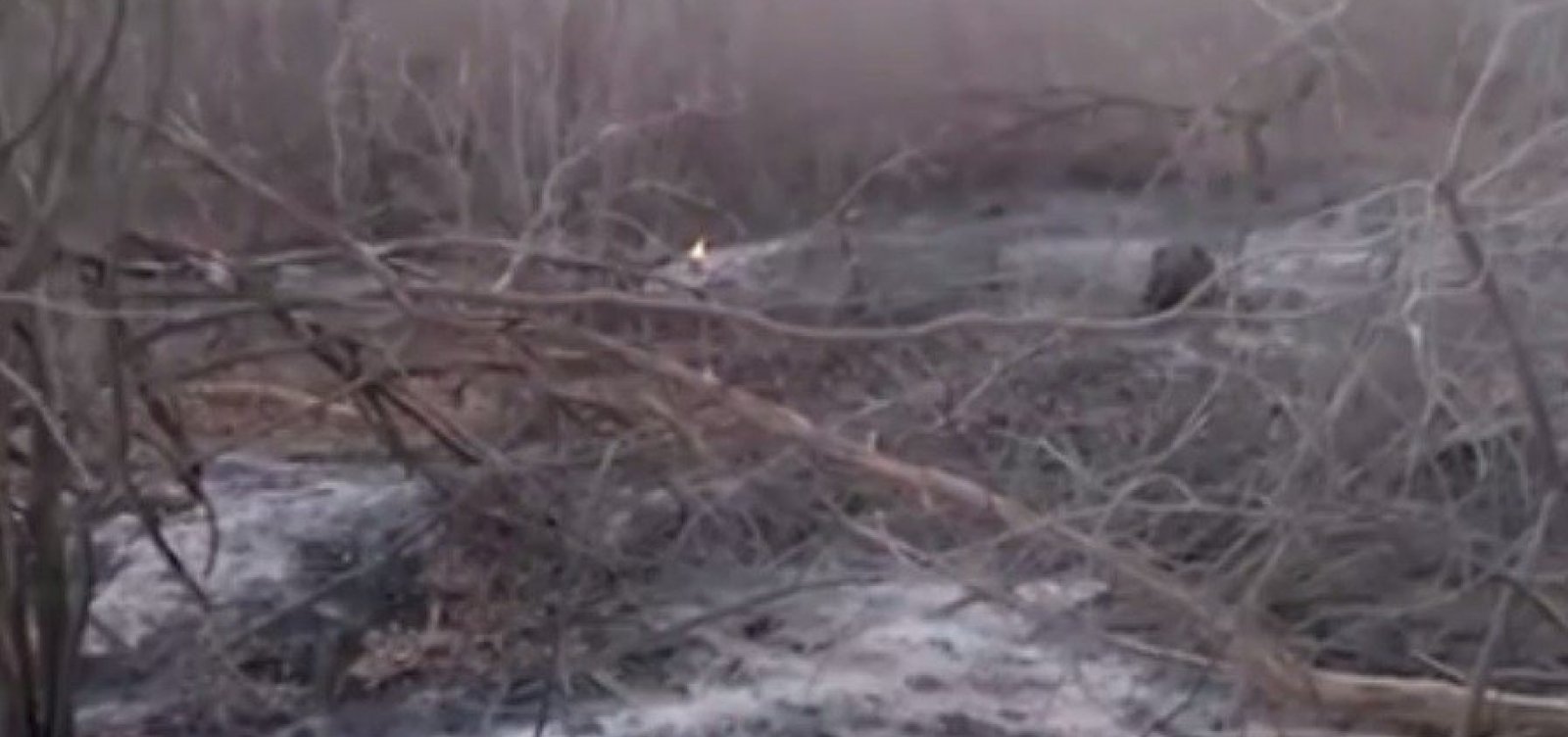 Área de caatinga no norte da Bahia é atingida por incêndio há mais de 20 dias