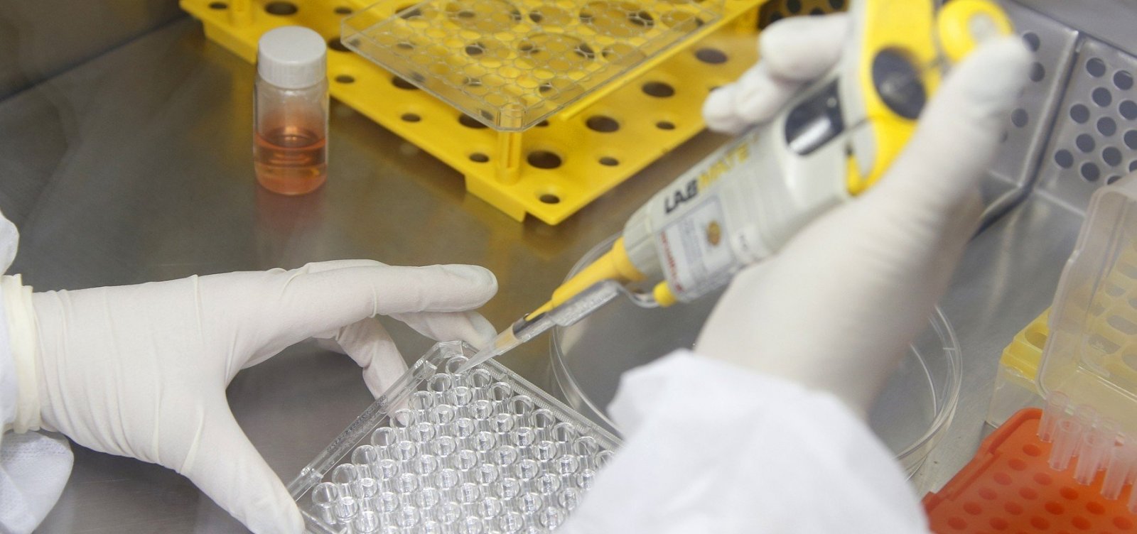 Cientistas vencem o Nobel de Medicina com nova terapia contra o câncer
