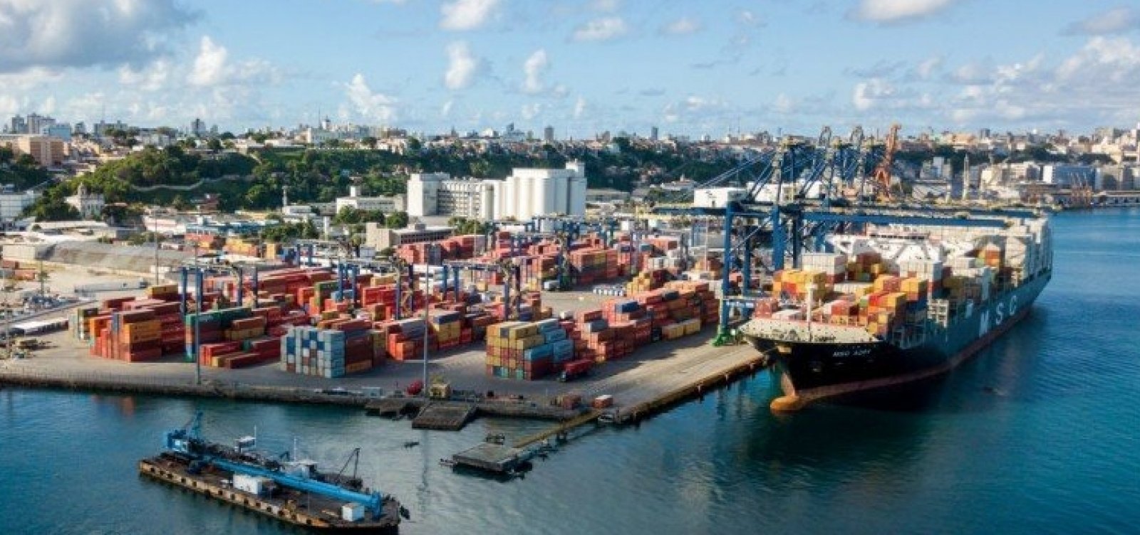 Grupos asiáticos estão de olho na Tecon Salvador